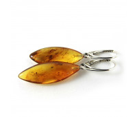 Genuine Baltic amber earrings, honey amber, 6 gr