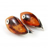 Baltic amber earrings with honey amber, 5.7 gr